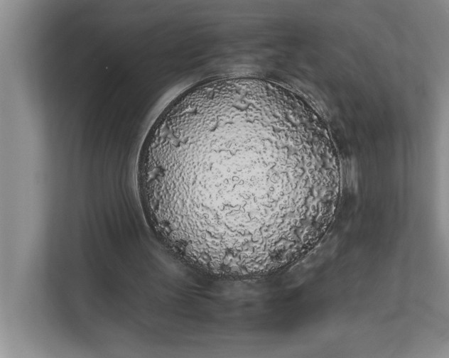 X0000111880147200908061321