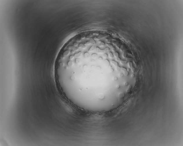 X0000111880148200908061321