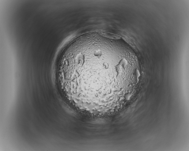 X0000111880149200908061321