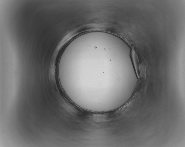 X0000111880150200908061321