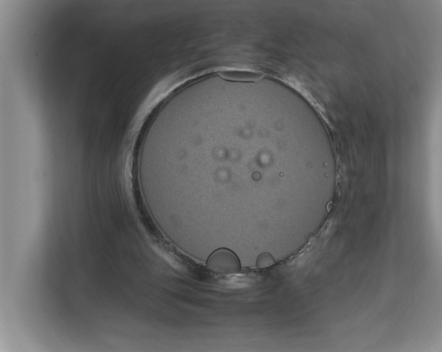 X0000111880151200908061321