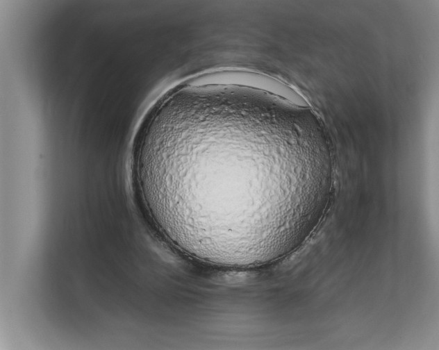 X0000111880152200908061321