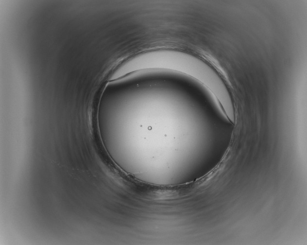 X0000111880154200908061321