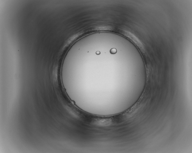 X0000111880155200908061321