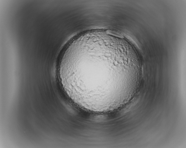 X0000111880156200908061321