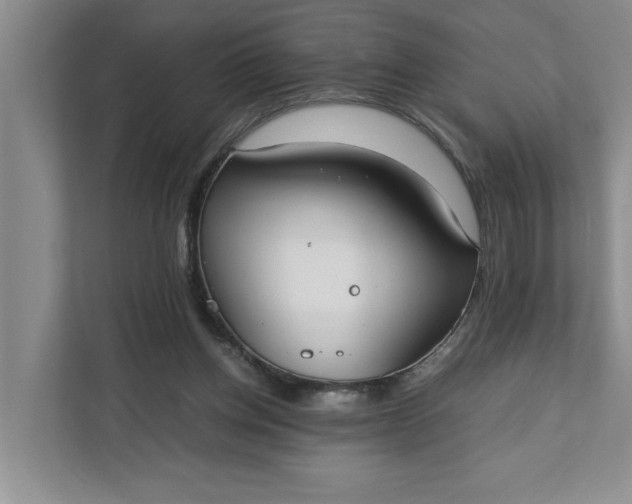 X0000111880158200908061321