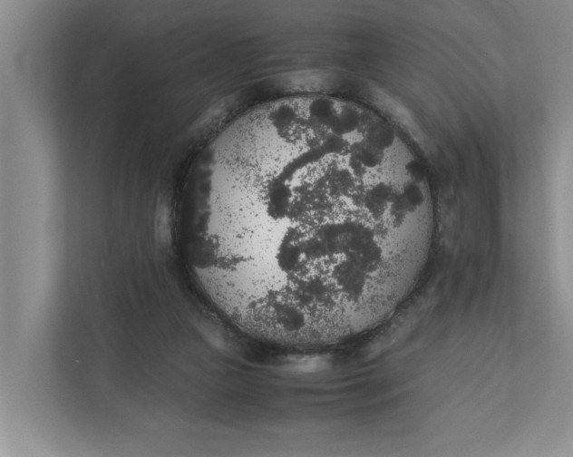 X0000111880161200908061321