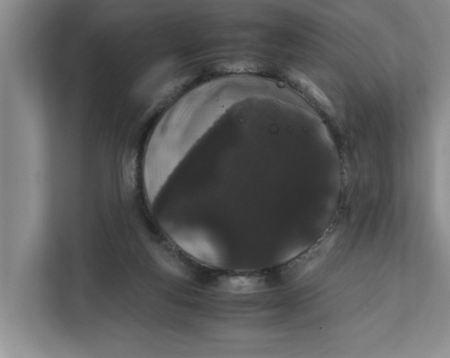 X0000111880163200908061321