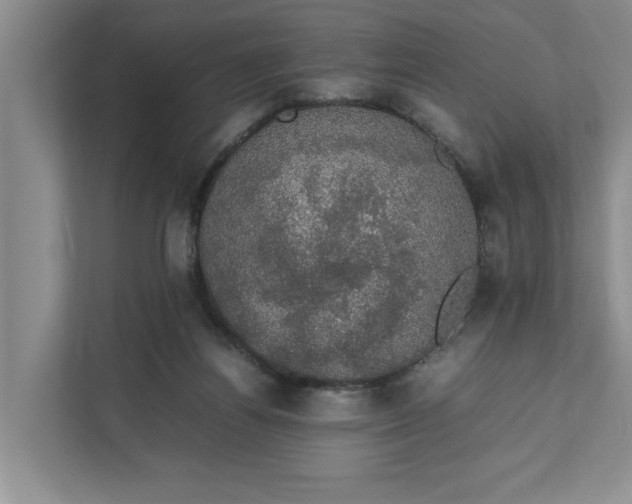 X0000111880164200908061321