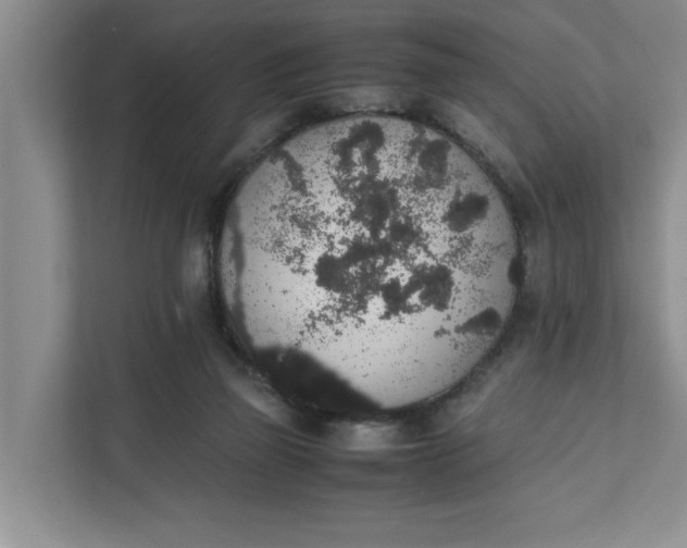 X0000111880165200908061321