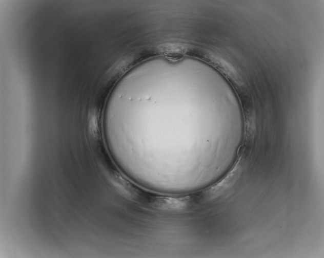 X0000111880166200908061321