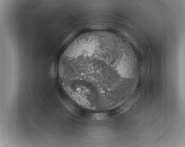 X0000111880168200908061321