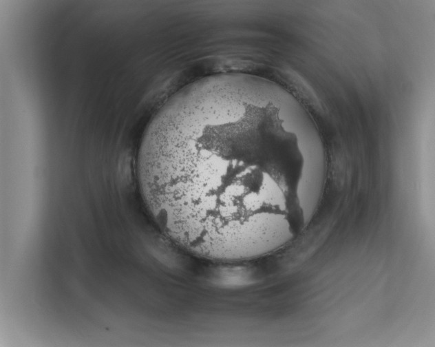 X0000111880169200908061321