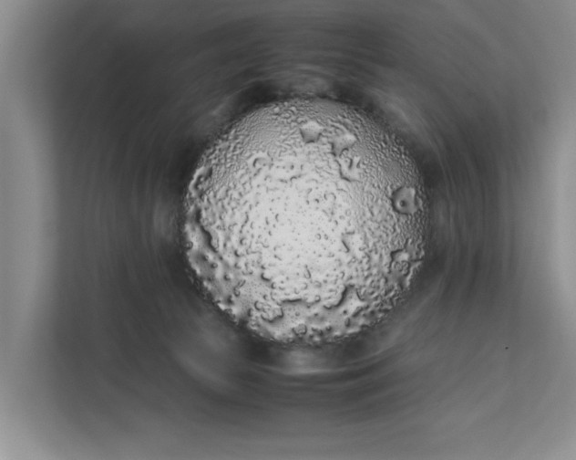 X0000111880177200908061321