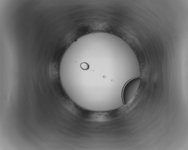 X0000111880179200908061321