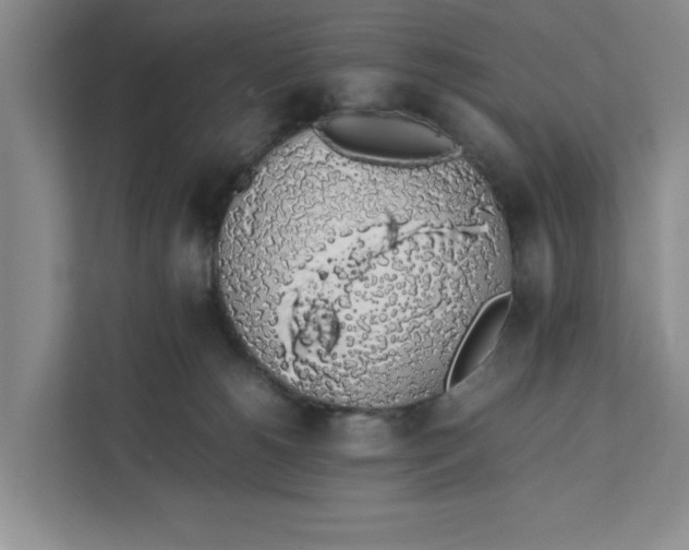 X0000111880180200908061321