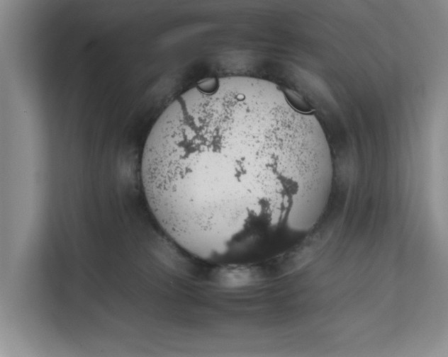 X0000111880181200908061321