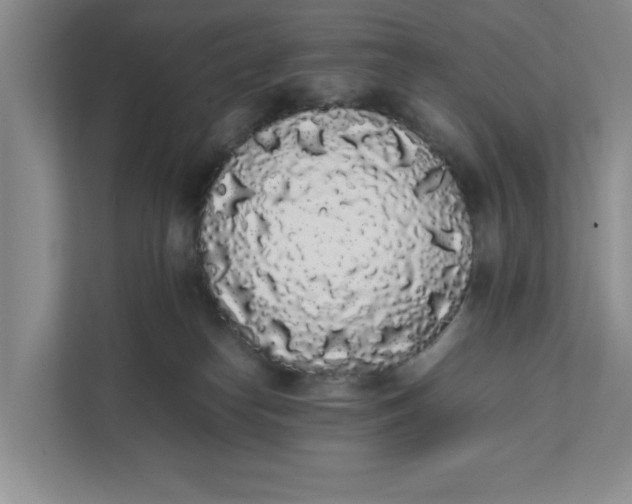 X0000111880182200908061321