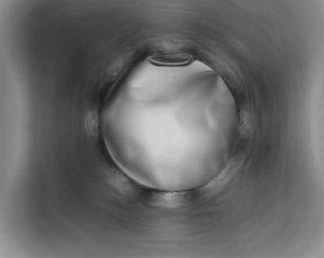 X0000111880184200908061321