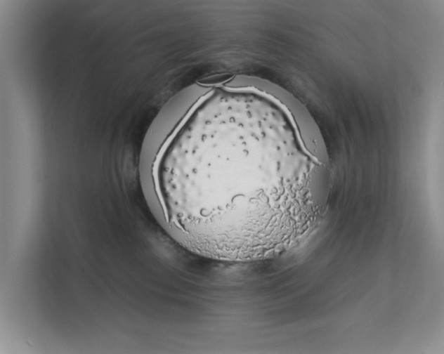 X0000111880186200908061321