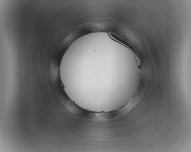 X0000111880188200908061321