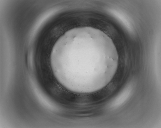 X0000111880189200908061321