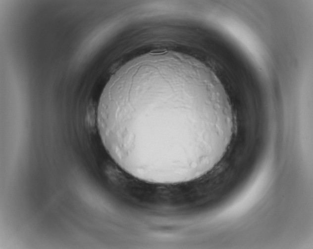 X0000111880190200908061321