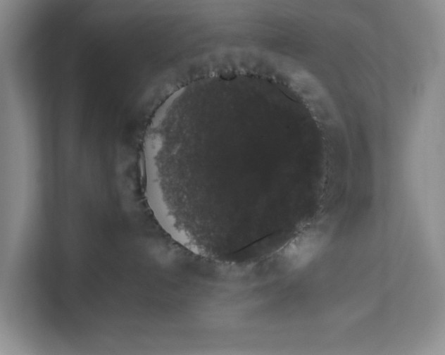 X0000111880192200908061321