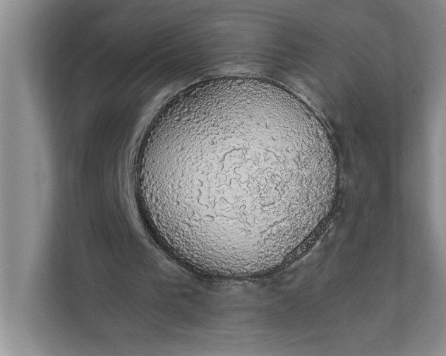 X0000111880193200908061321