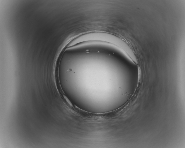 X0000111880195200908061321