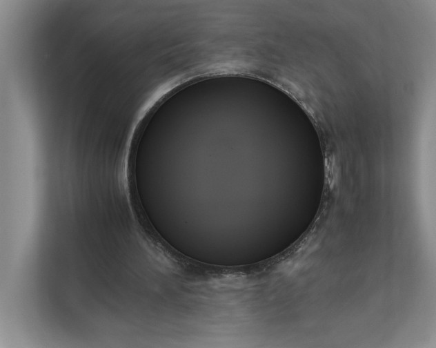 X0000111880196200908061321