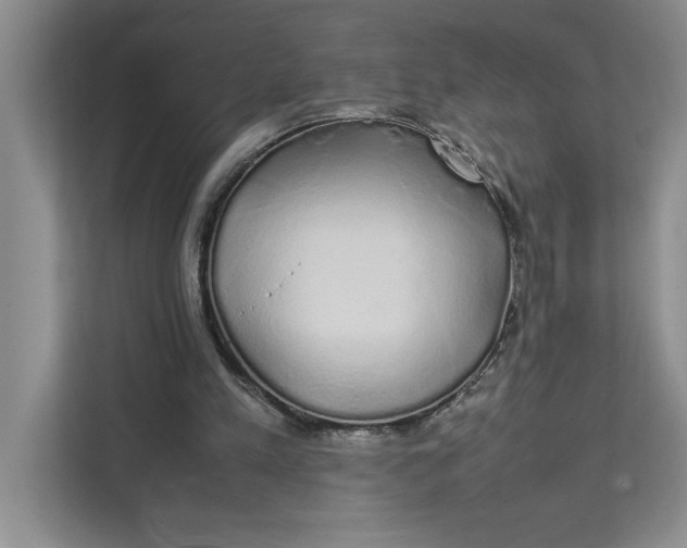 X0000111880197200908061321