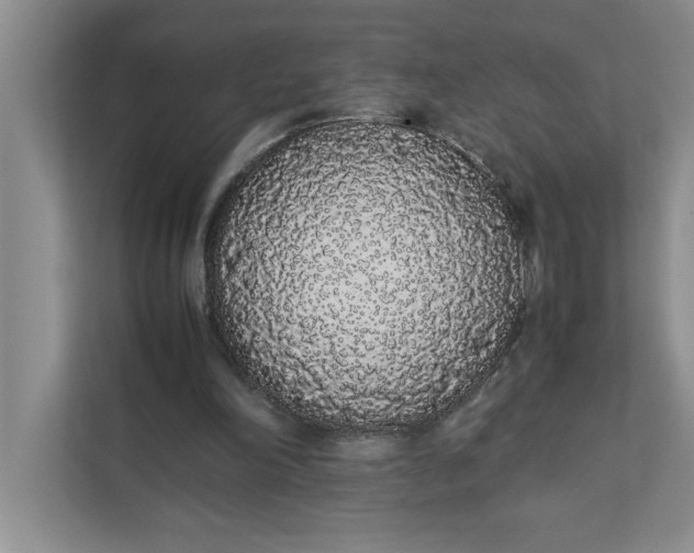 X0000111880198200908061321