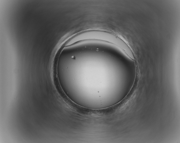 X0000111880199200908061320