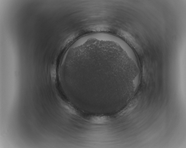 X0000111880202200908061320