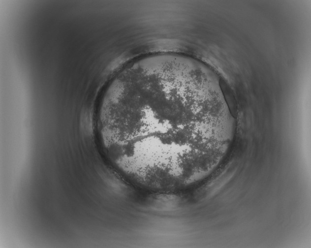 X0000111880203200908061320