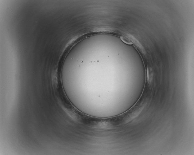 X0000111880204200908061320