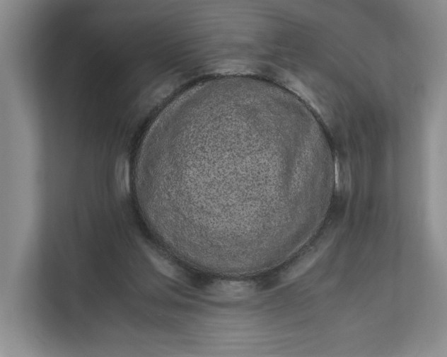 X0000111880205200908061320