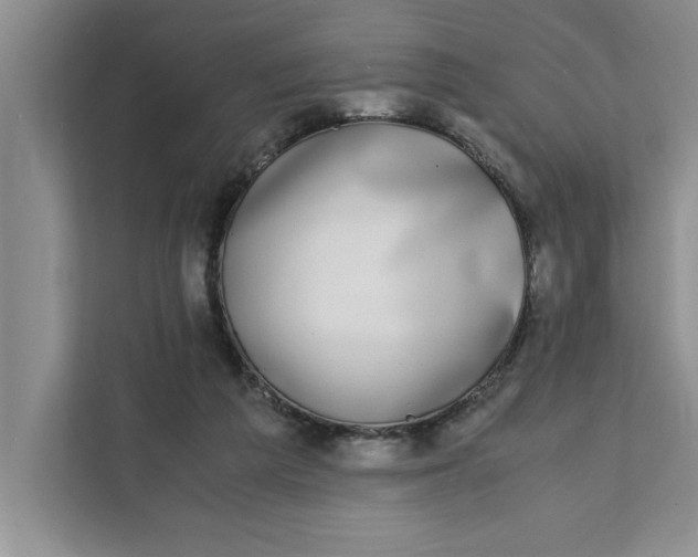 X0000111880209200908061320