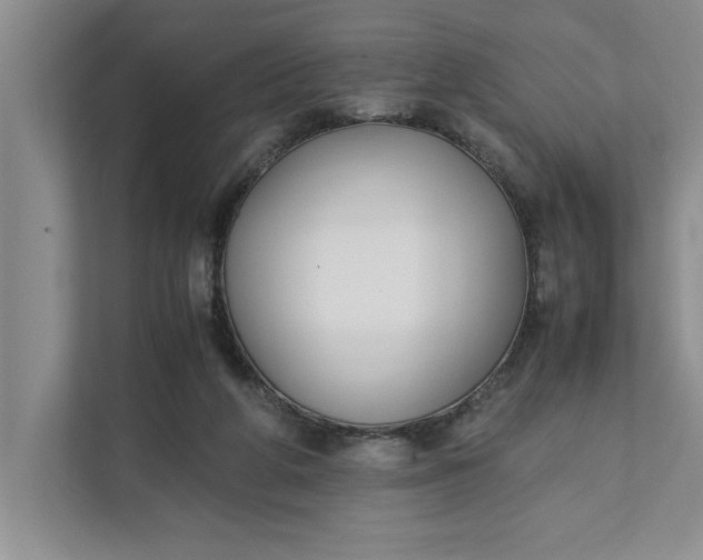 X0000111880210200908061320