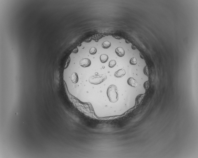 X0000111880211200908061320