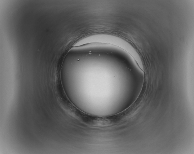 X0000111880215200908061320