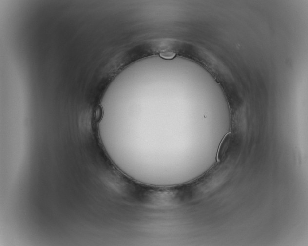 X0000111880217200908061320