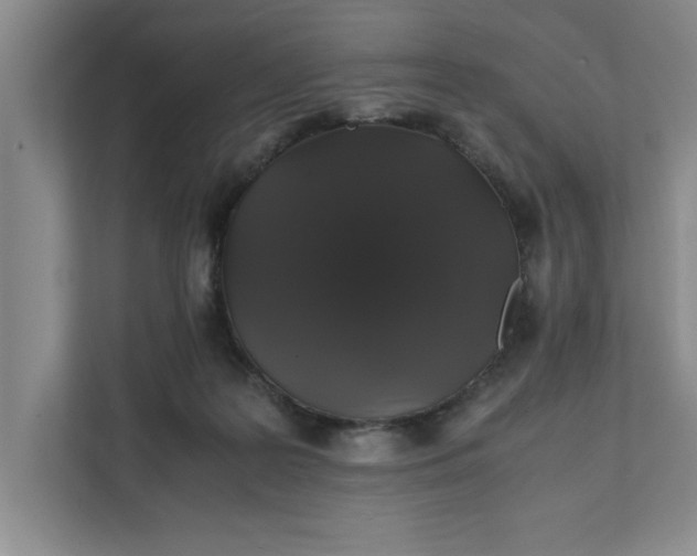 X0000111880219200908061320