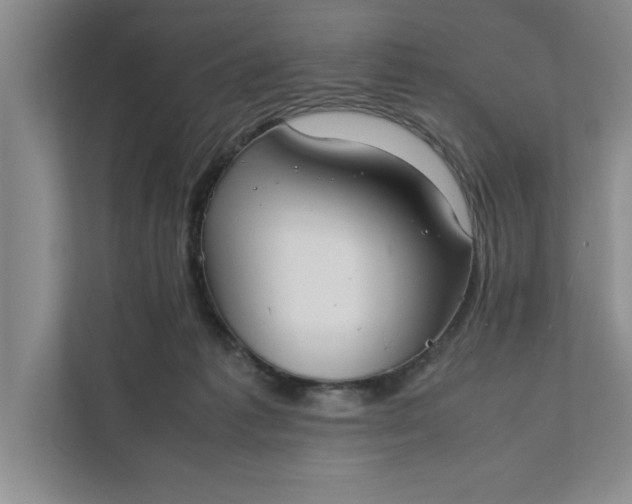 X0000111880221200908061320