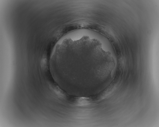 X0000111880222200908061320