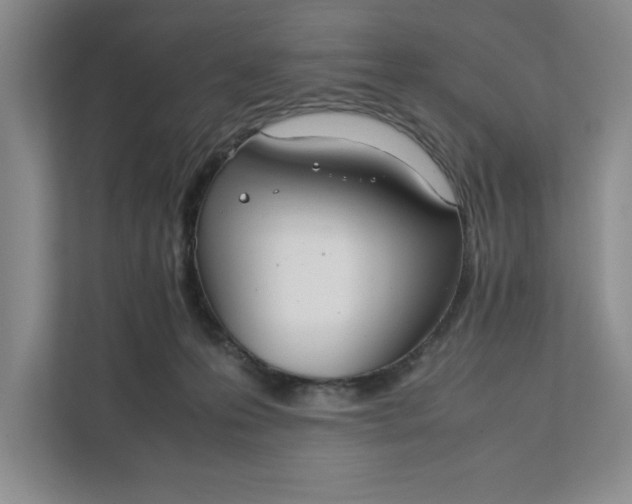 X0000111880223200908061320