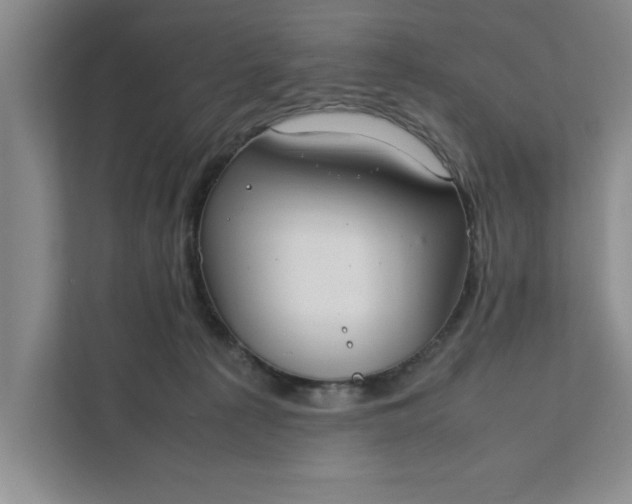 X0000111880225200908061320