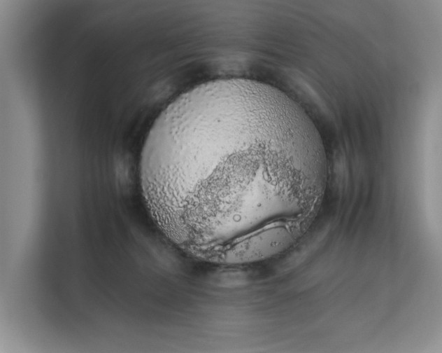 X0000111880228200908061320