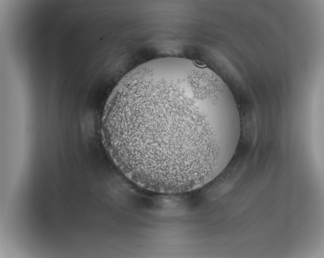 X0000111880229200908061320